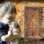 Фото пользователей