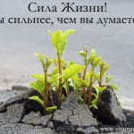 Фото пользователей