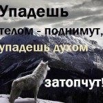 Фото пользователей