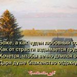 УТРЕННЕЕ СЧАСТЬЕ...