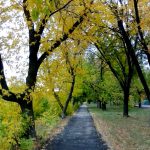 IMG_20181006_072817111111-1