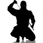 voin_ninja