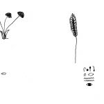 unnamed-file-1